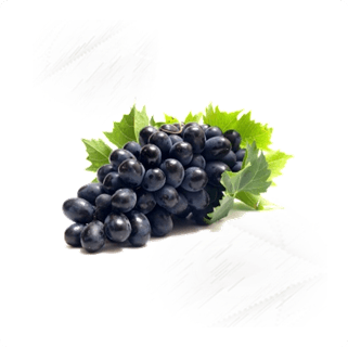 Fresh Fruit. Grapes Black