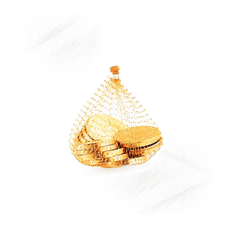 Coins. Gold Milk Chocolate Net
