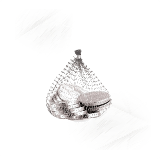 Coins. Silver White Chocolate Net