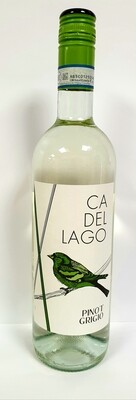 6x75cl Pinot Grigio IGT Provincia di Pavia, Ca' del Lago 6x75cl Pinot Grigio IGT Provincia di Pavia, Ca' del Lago