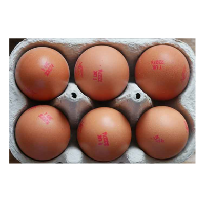 FRESH BRITISH LION STAMPED MEDIUM EGGS - 6 eggs