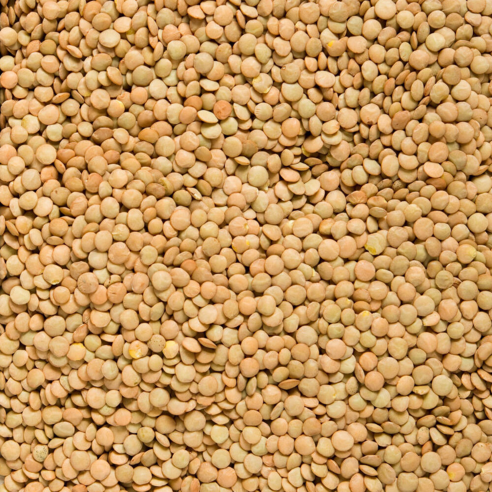 DRIED GREEN LENTILS - 2kg