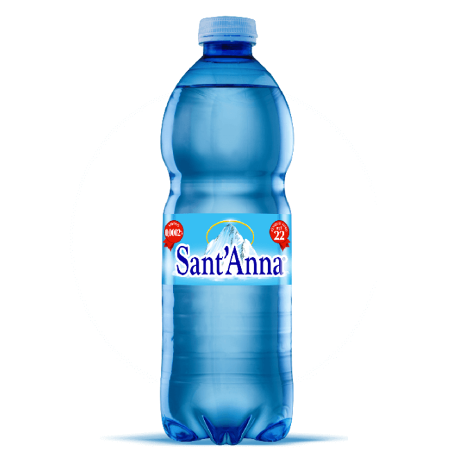 SANT&#39; ANNA SPARKLING WATER - 24x500ml