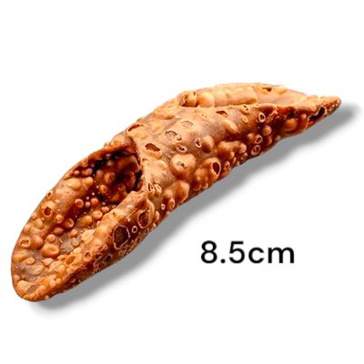 Sicilian Cannoli Shell Mignon (Dark) – 8.5cm (220pcs, 3.2kg avg)