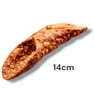 Sicilian Cannoli Shell Medium (Dark) – 14cm (100pcs, 3kg avg)