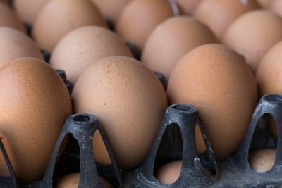 Fresh Eggs &amp; Egg Products