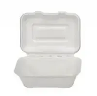500x BAGASSE SNACK BOX GL6GB