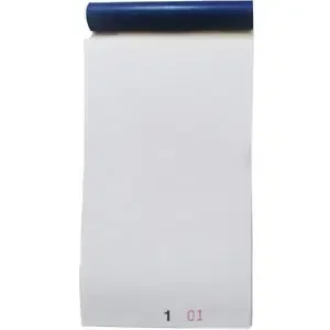 EF15 DUPLICATE WAITRESS PADS - 100