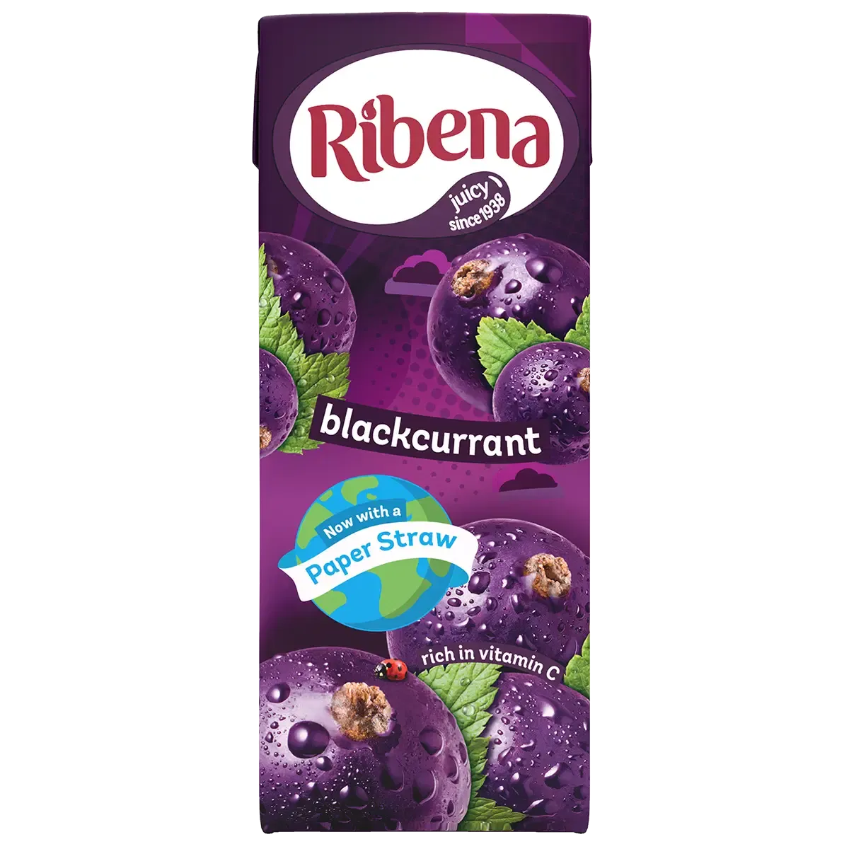 RIBENA BLACKCURRENT - 24x250ml
