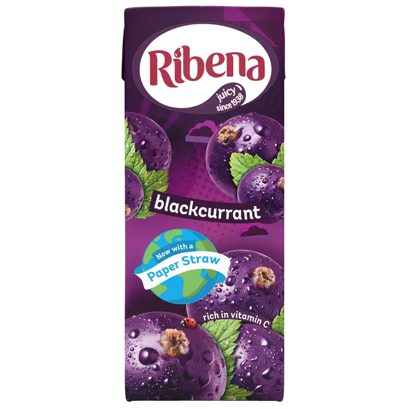 RIBENA BLACKCURRENT - 24x250ml