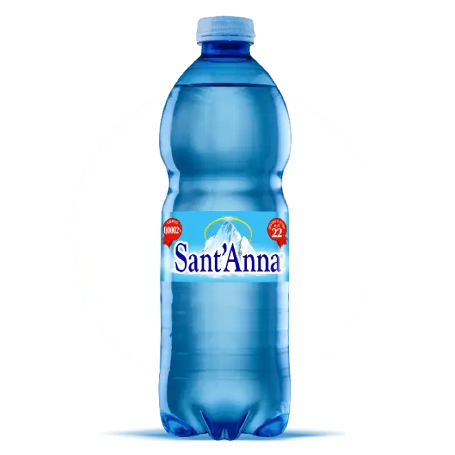 SANT' ANNA SPARKLING WATER - 24x500ml
