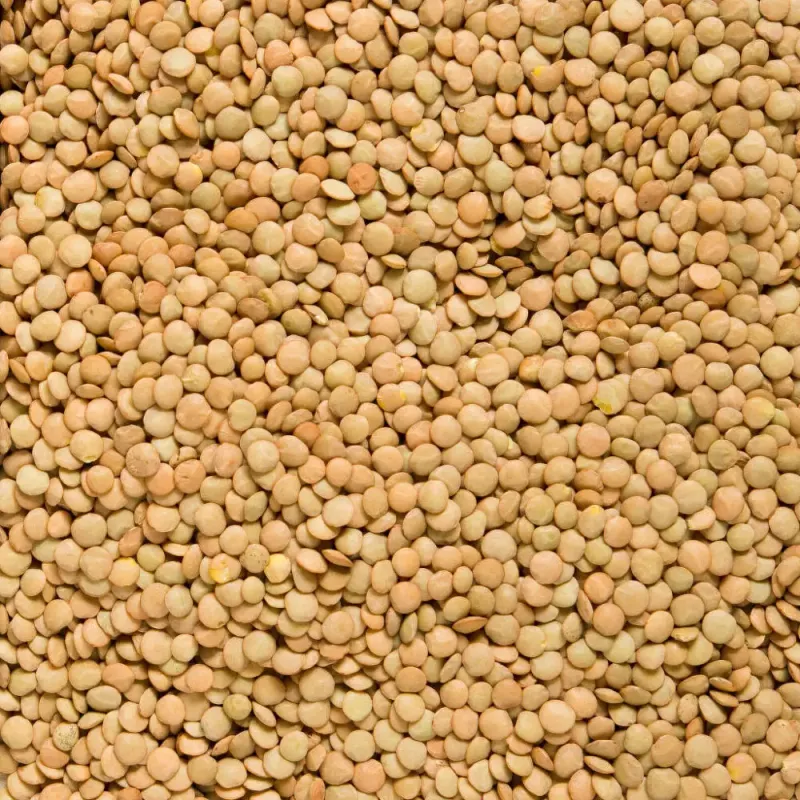DRIED GREEN LENTILS - 3kg