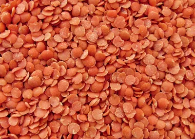 DRIED RED LENTILS - 3kg DRIED RED LENTILS - 3kg