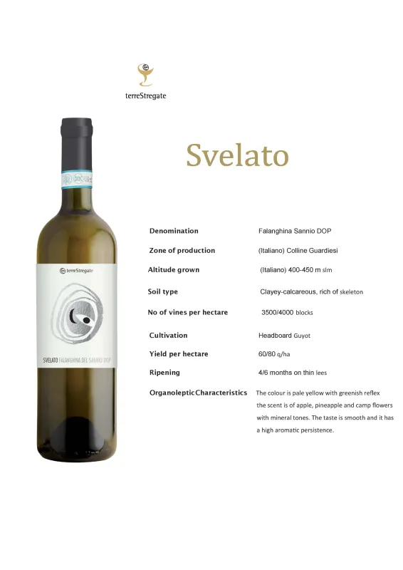 Falanghina del Sannio DOP - Terre Stregate 0,75L ABV 13%
