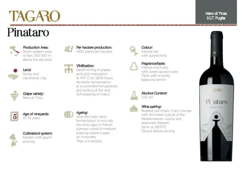 Nero di Troia IGP Puglia Pinataro 0,75L ABV 13.5%