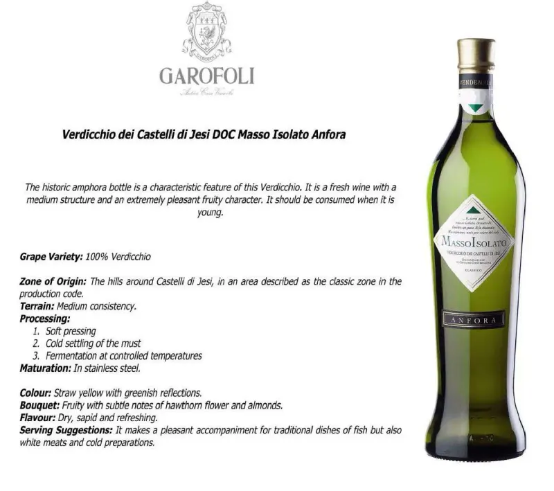 Verdicchio dei Castelli di Jesi DOC Masso Isolato - Anfora 0,75L ABV 12.5%
