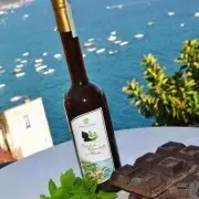 CHOCOLATE AND MINT LIQUEUR COSTA D'AMALFI IGP - 0,50L (ABV) 18%