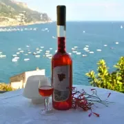 LIQUORE DI FRAGOLINE DI BOSCO COSTA D'AMALFI IGP - 0,50L (ABV) 30%