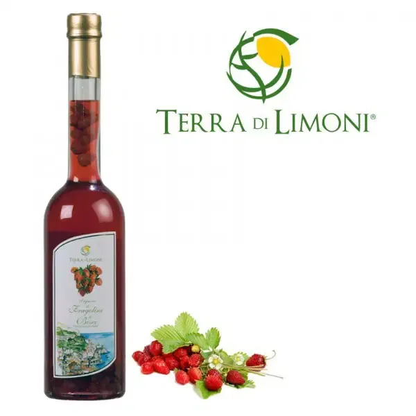 LIQUORE DI FRAGOLINE DI BOSCO COSTA D'AMALFI IGP - 0,50L (ABV) 30%