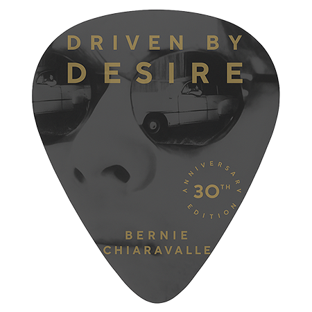 Driven By Desire Commemorative Guitar Pick - set of 2