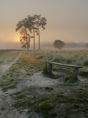 Zonsopkomst Landgoed Den Treek