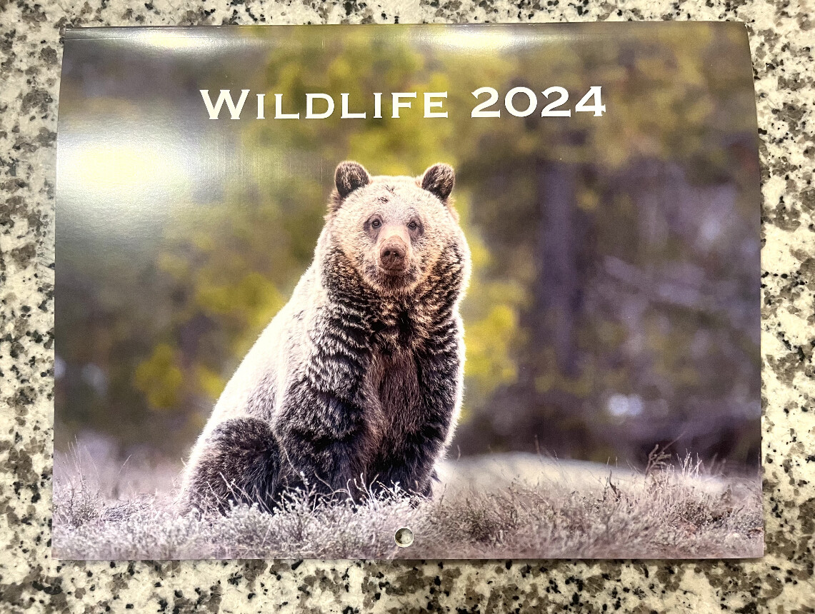 2024 Yellowstone Wildlife Calendar