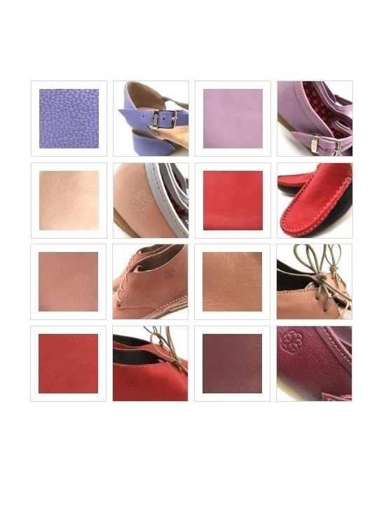 Colour Purple, Pink &amp; Reds