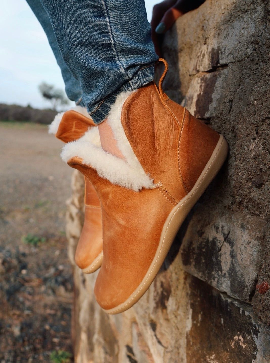 Axis Sheepskin