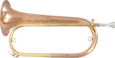 Instrument d&#39;ordonnance