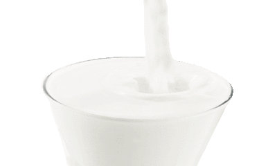 Dolce Delicato DF Veggie Milk 1g Dietary Fiber per serving