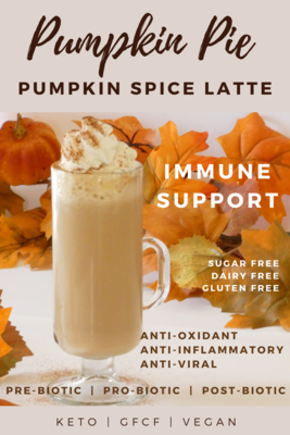 (one) 1 PACKET (makes 2 cups ea) ONE NET CARB Pumpkin Pie Latte