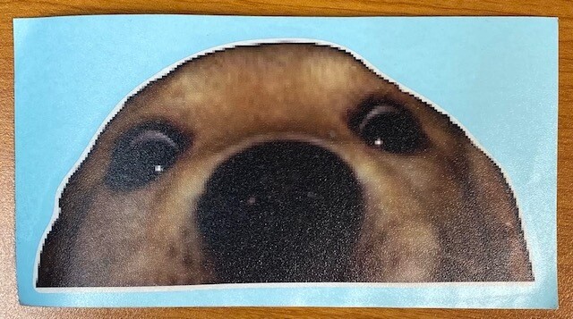 Peaking Dog Sticker