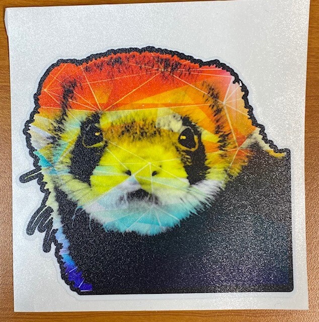 Rainbow Geo Ferret Sticker