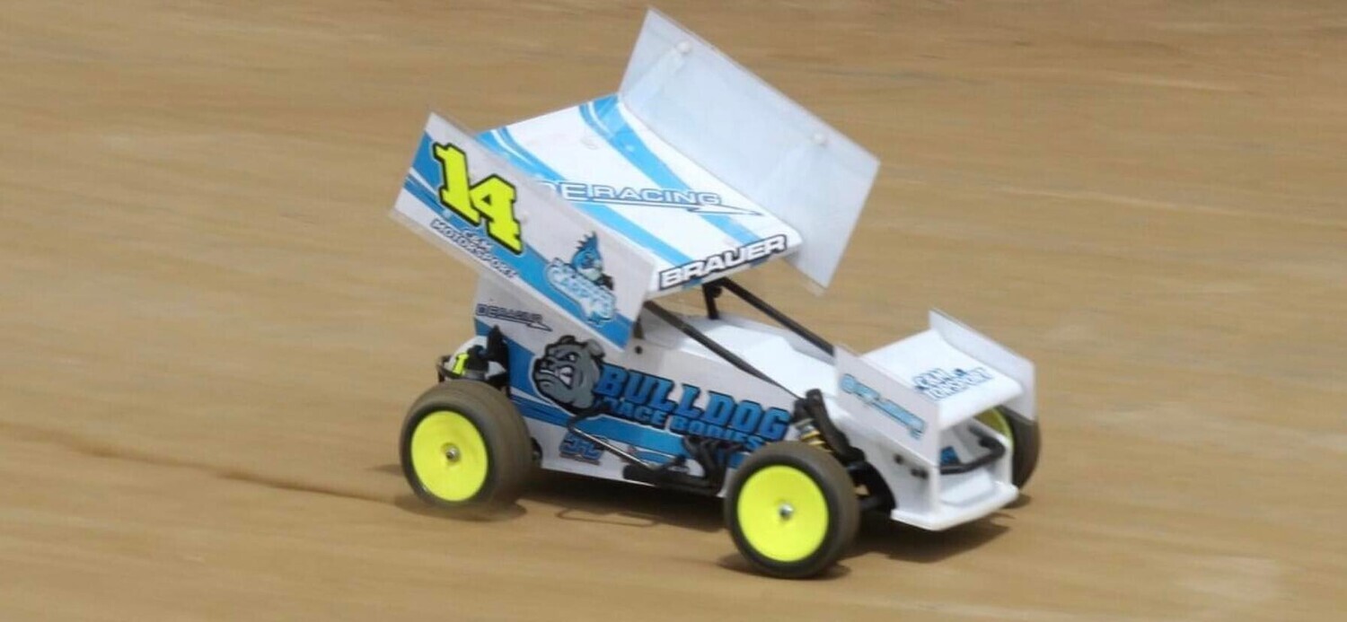 Bulldog Sprint Wraps w/ 7Inch Wing (Designed to Order)