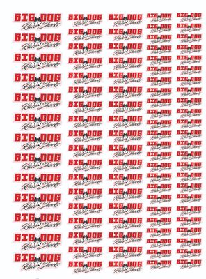 Big Dog Race Shocks Sticker Pack
