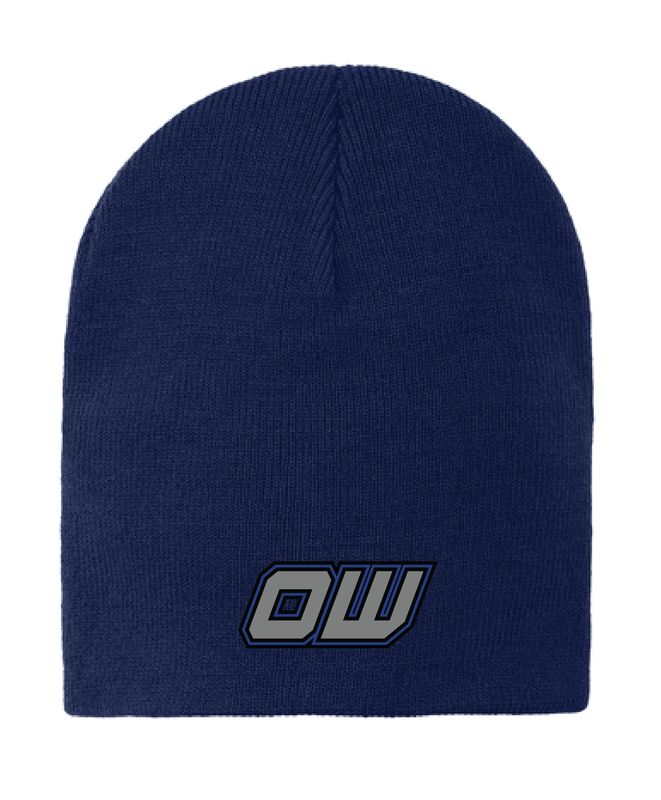 Ovalwerks Port &amp; Co Knit Skull Cap | CP94