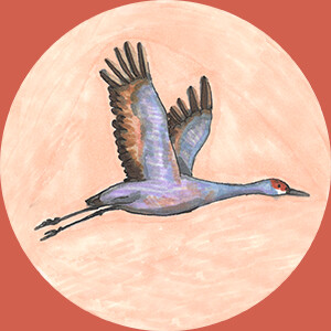 MP3 - Self Healing Mini-Classes