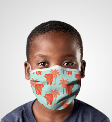Kids Pleated Face Mask