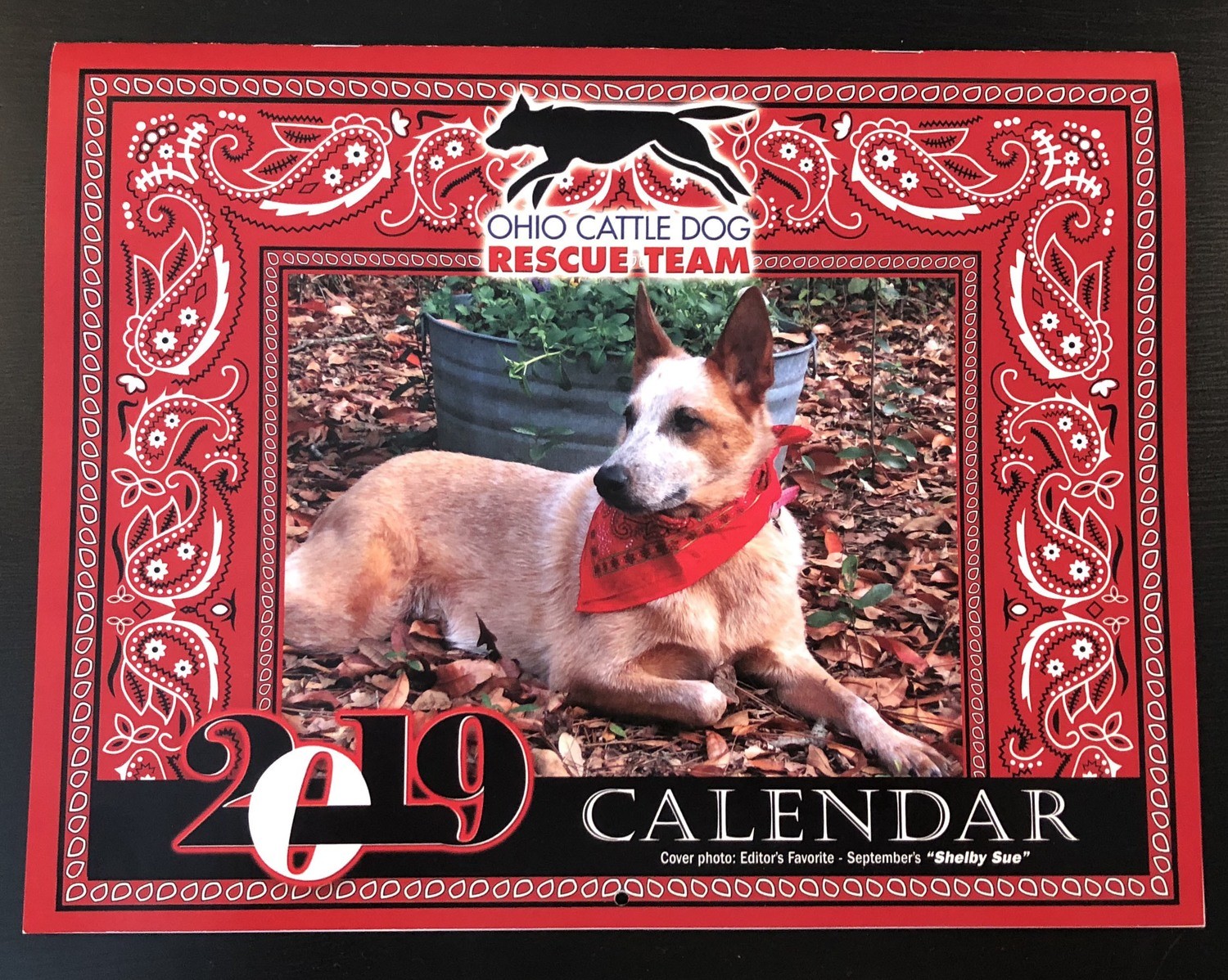 2019 OCDRT Fan Choice Calendars