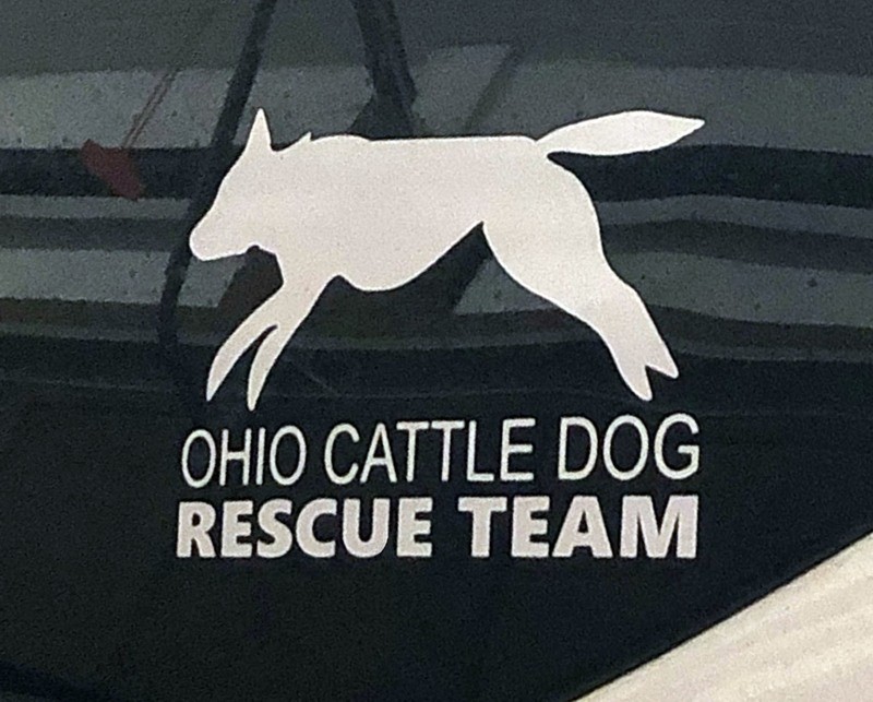 Window Decal