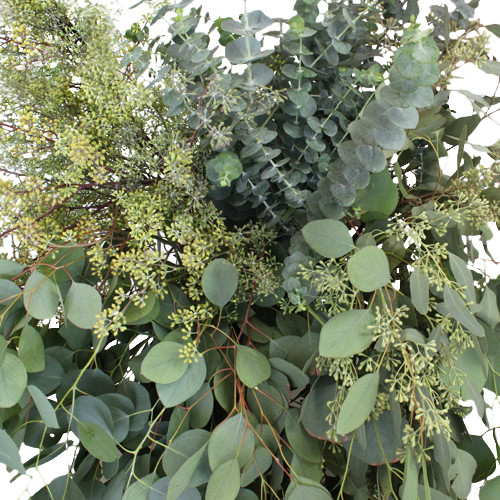 Additional Greenery for display