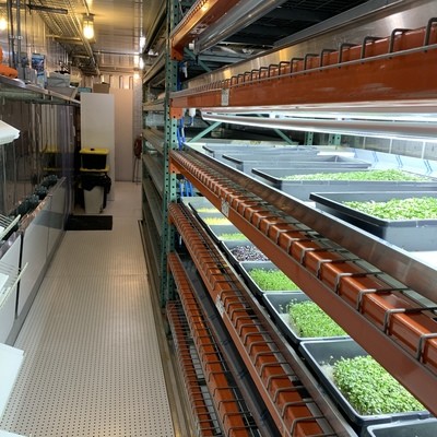 Sustainable Ecosystem Container Farm
