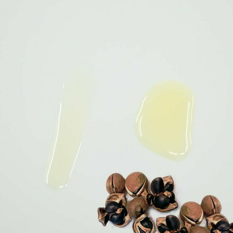 Camellia seed CO2 extract