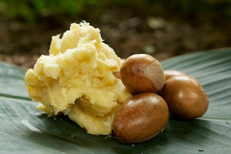 Organic refined African shea butter