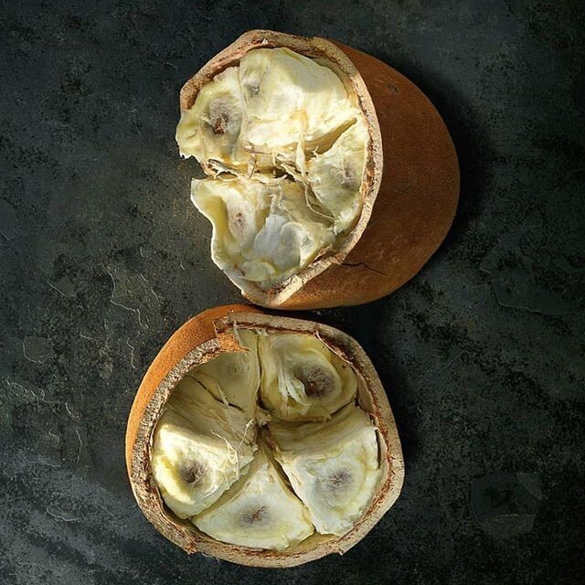 Organic unrefined Amazonian Cupuaçu butter