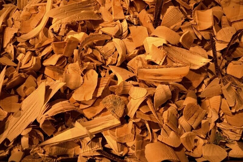 Organic Australian sandalwood hydrosol