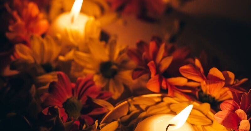 SACRED WOMB HEALING OIL X Soul Happy People