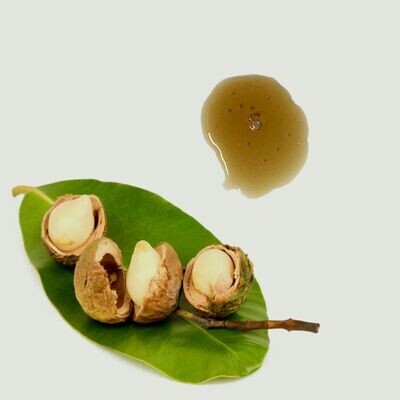 Organic tamanu nut oil, coldpressed virgin