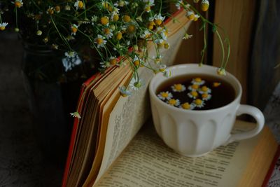 Tisanes (herbal teas)