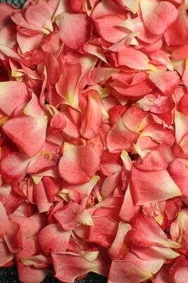 Organic rose otto hydrosol Organic rose otto hydrosol